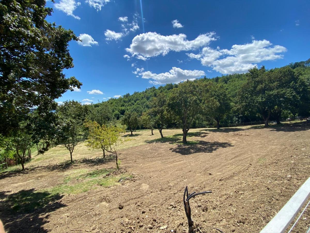 Podere Badia Valdrago Mugello Circuit Bed & Breakfast Scarperia