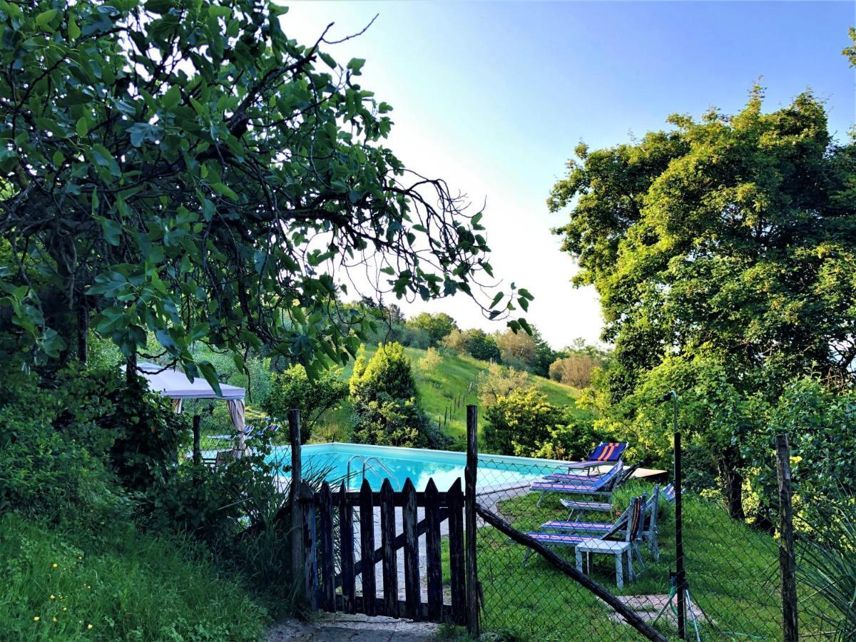 Podere Badia Valdrago Mugello Circuit Bed & Breakfast Scarperia